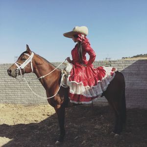 Meet your Posher, Greis